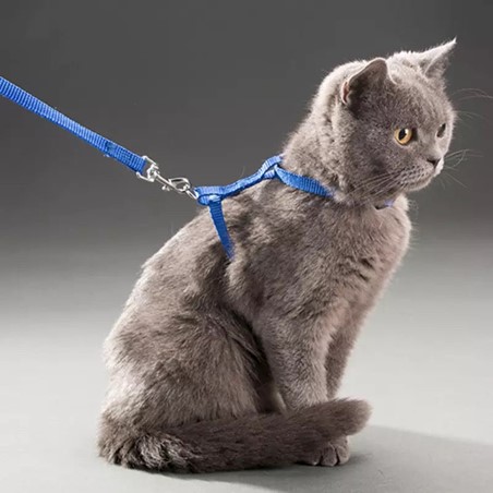 Cat Harness Leash - Image 4