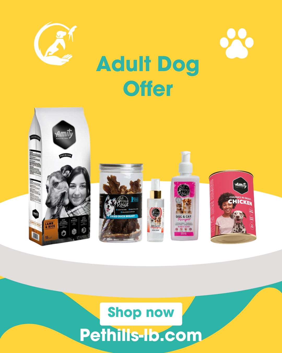 Adult Dog Offer